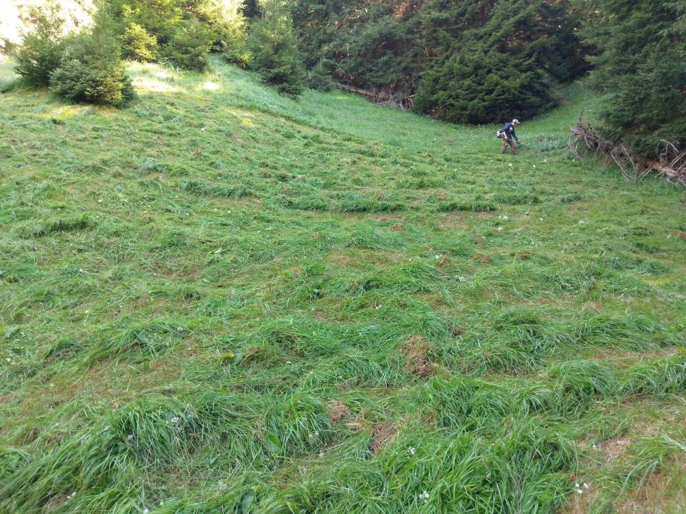 Haymaking on steep slopes