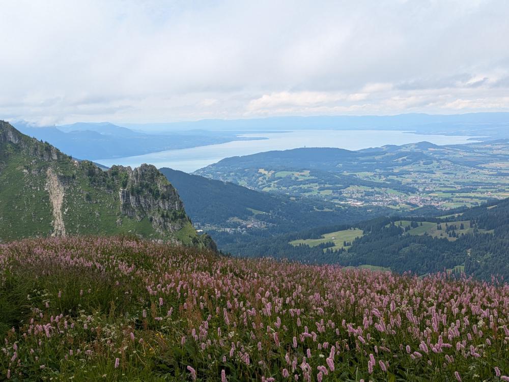wandern