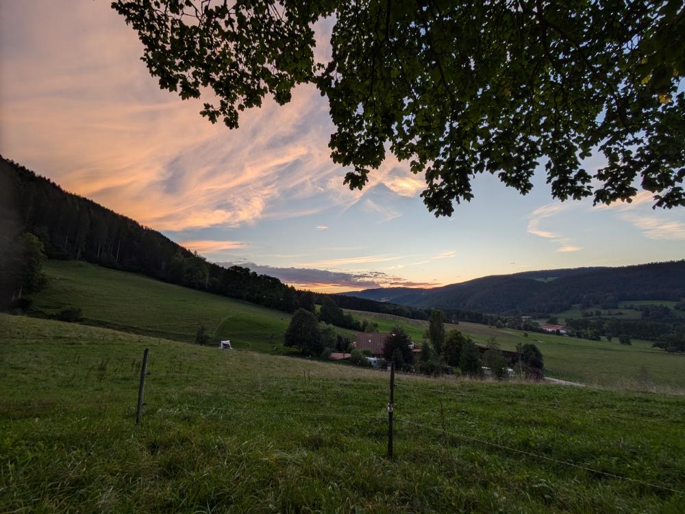 evening