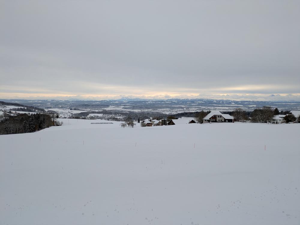 winter