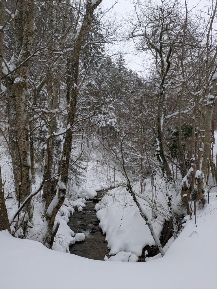 winter