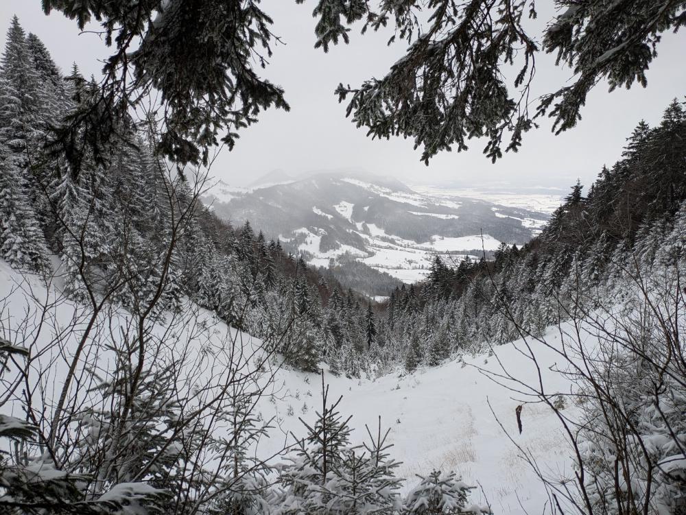 winter