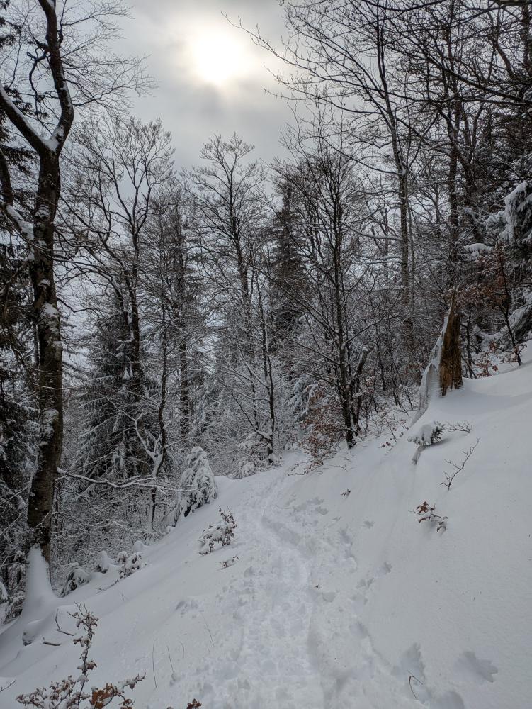 winter