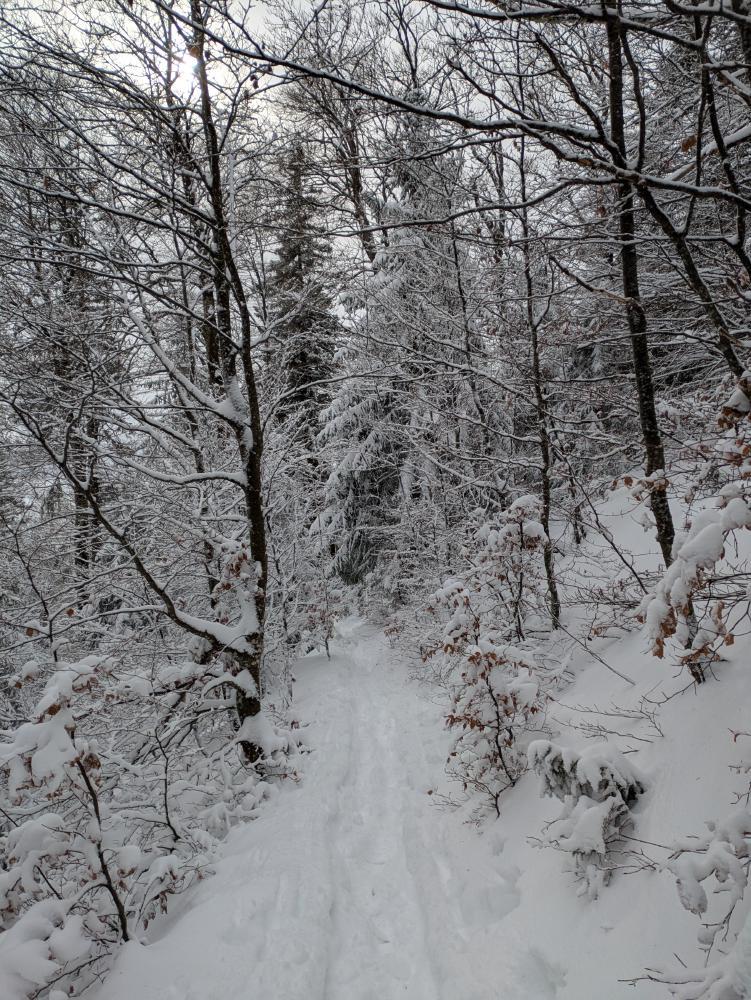 Winter
