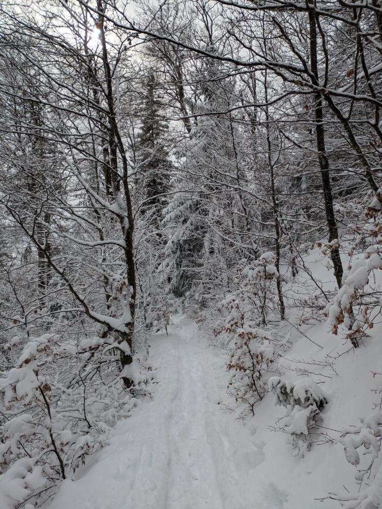 winter