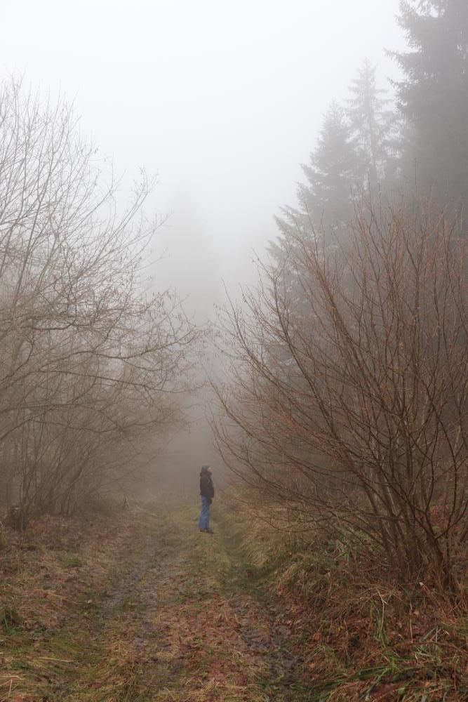 Nebel