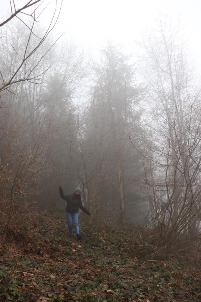 Nebel