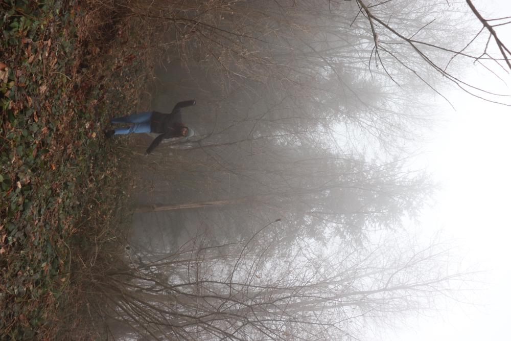fog
