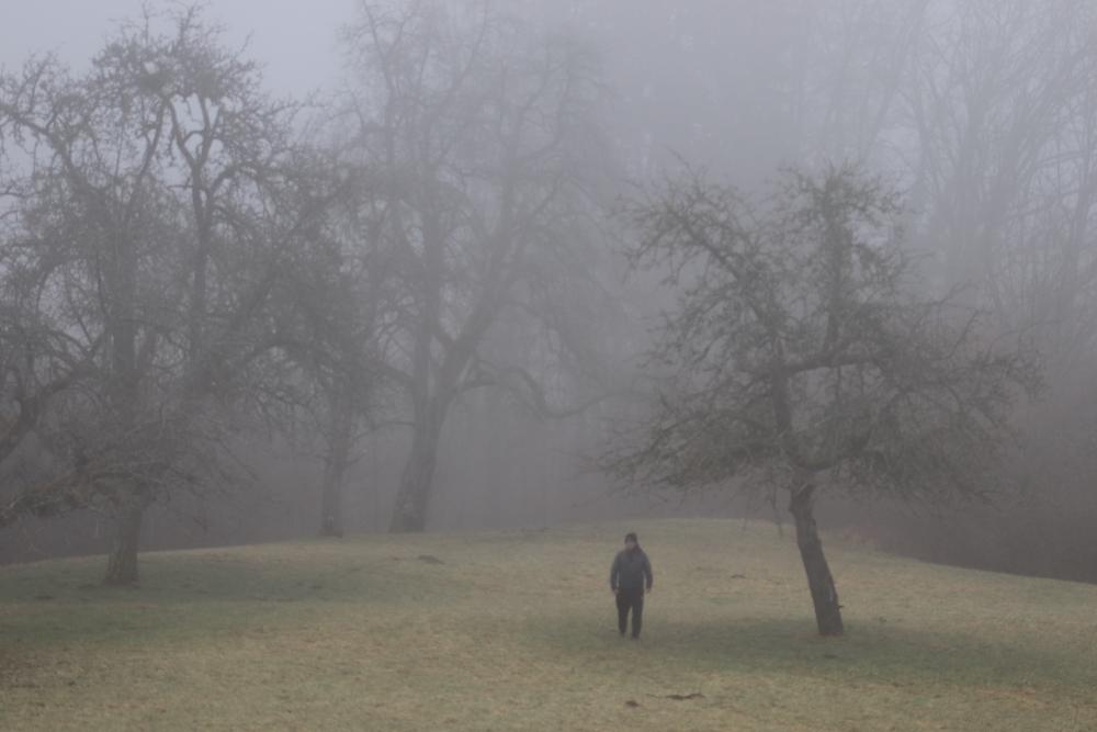 fog