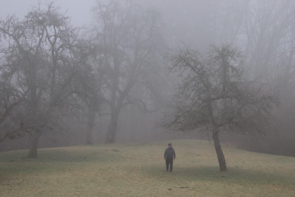 Nebel