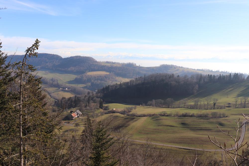 Wanneflüheli