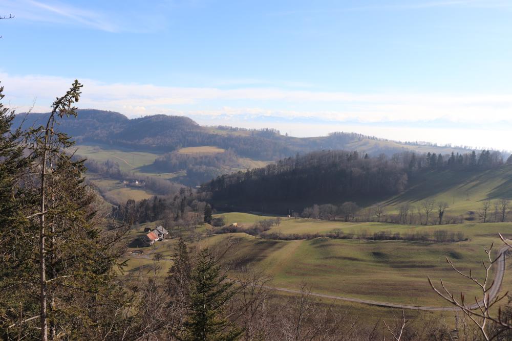 Wanneflüheli