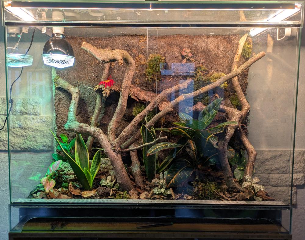 Terrarium