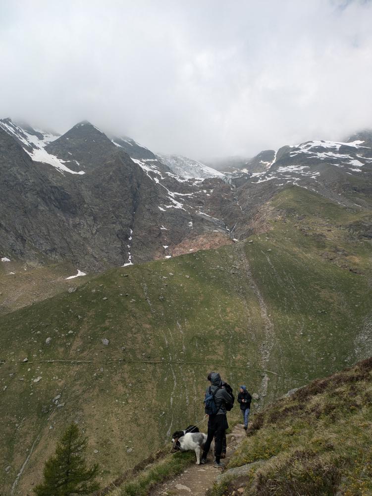 Hiking