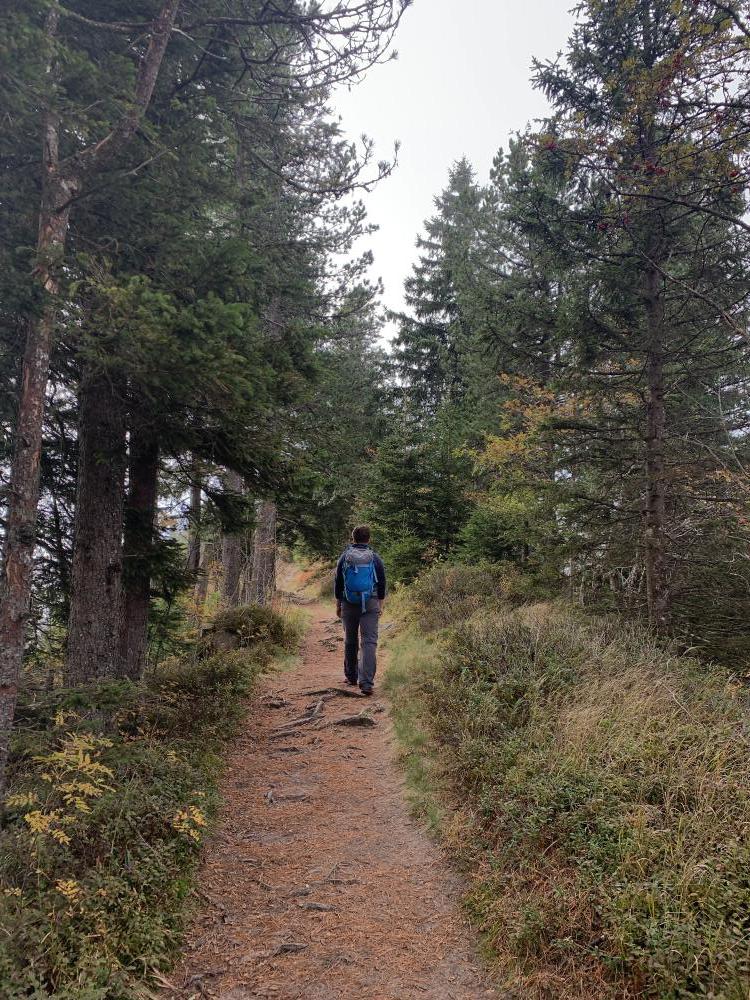 wandern