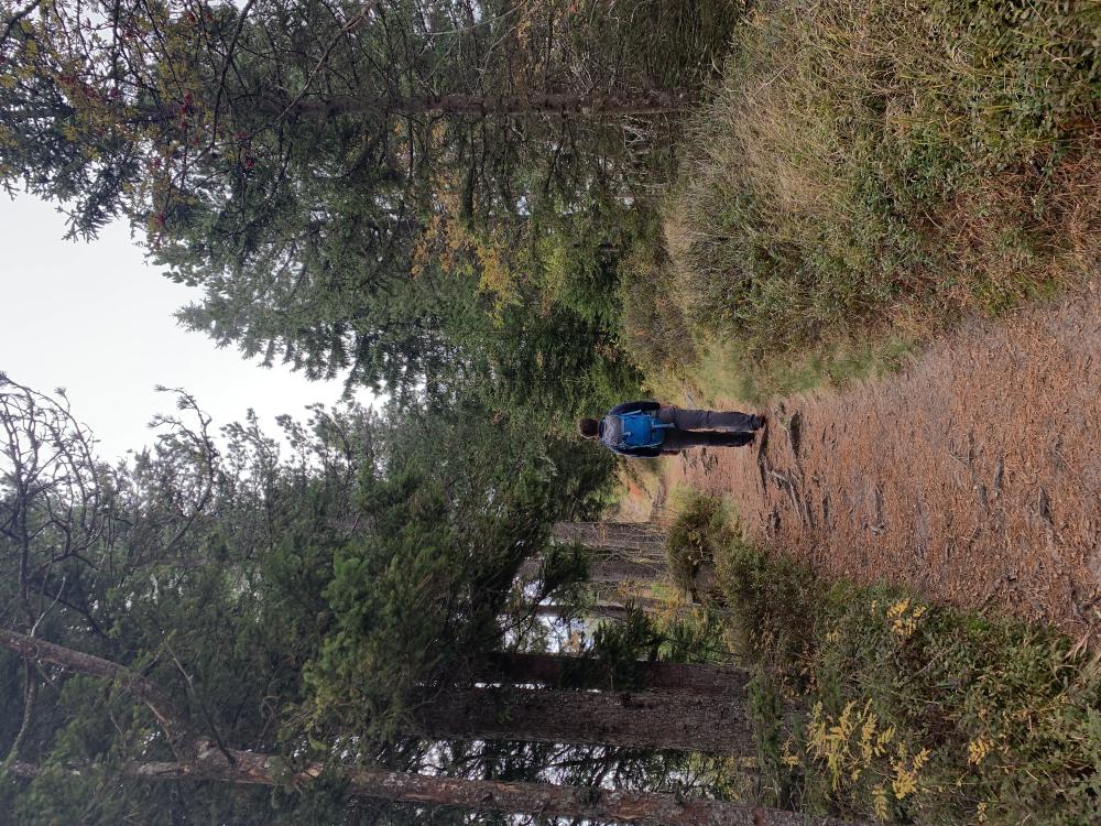 hiking