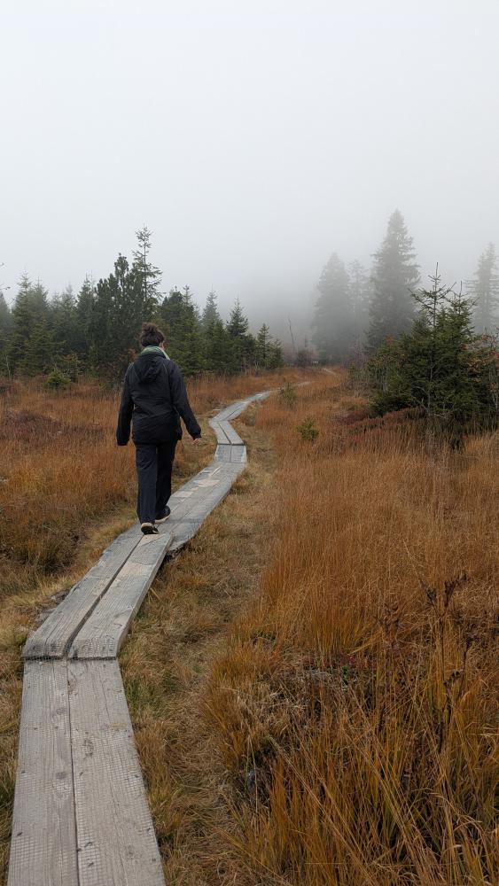 wandern