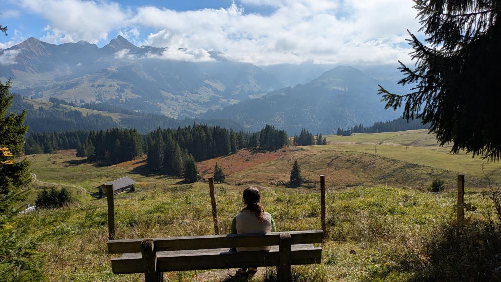 Aussicht