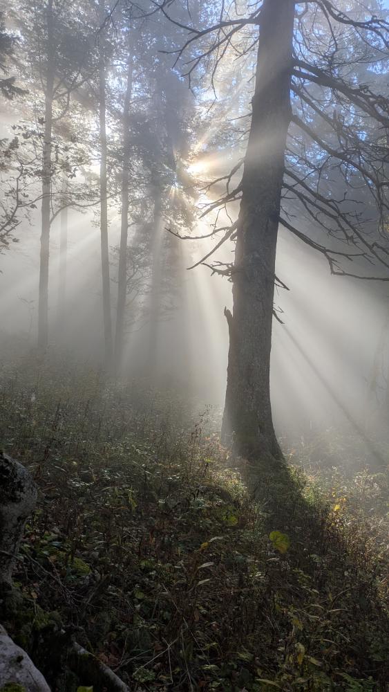 mist