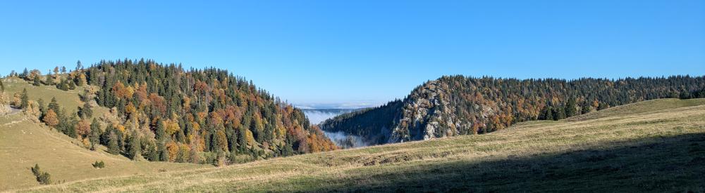 Panorama