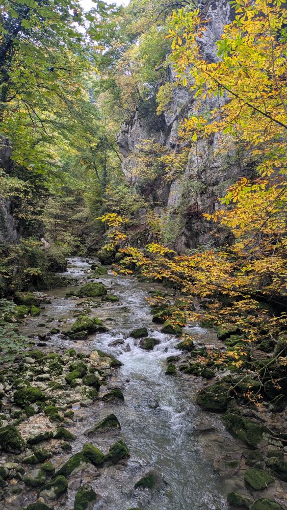 gorge