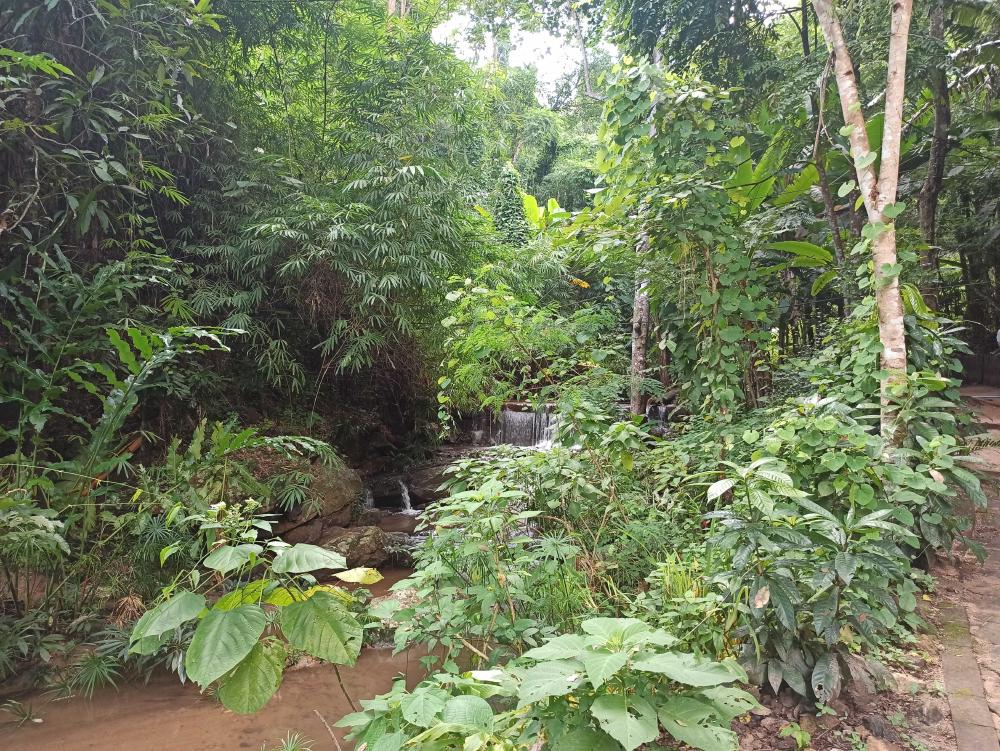 Hiking