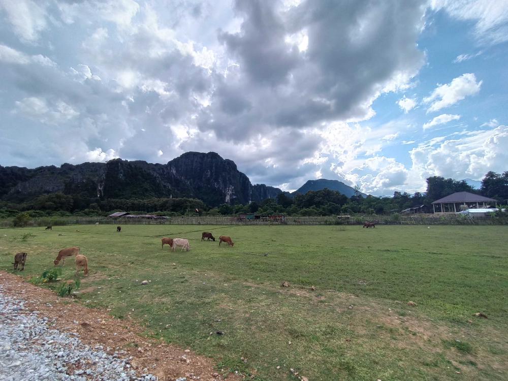 Sackgasse-Spaziergang