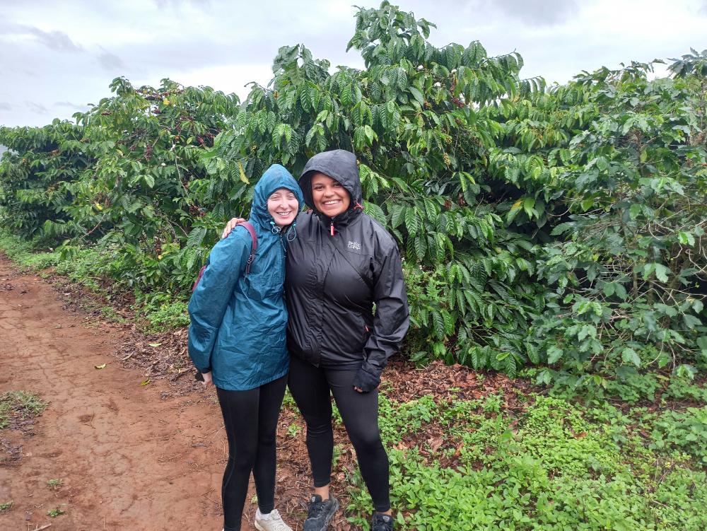 coffee_plantation