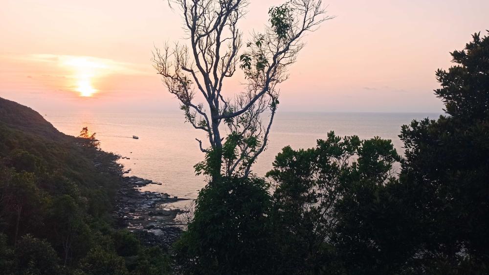 sunset