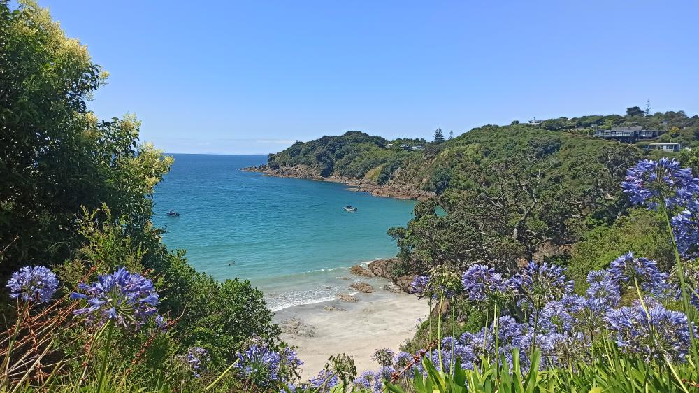 beach_view