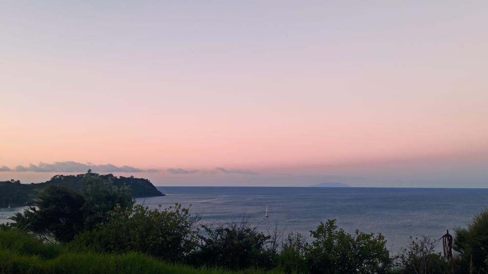 evening view