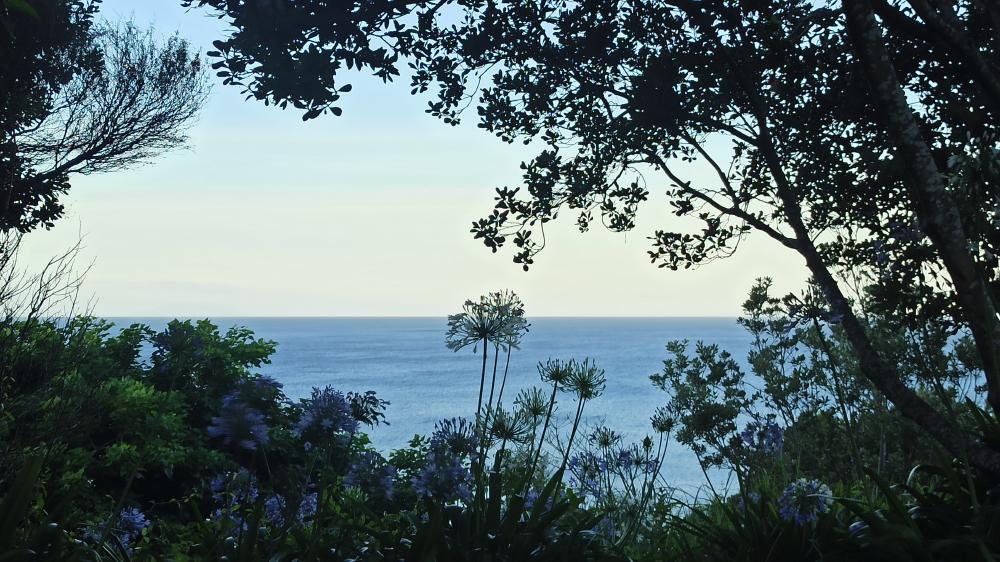 ocean