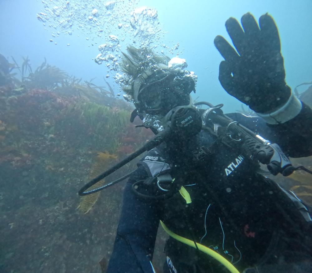 diving