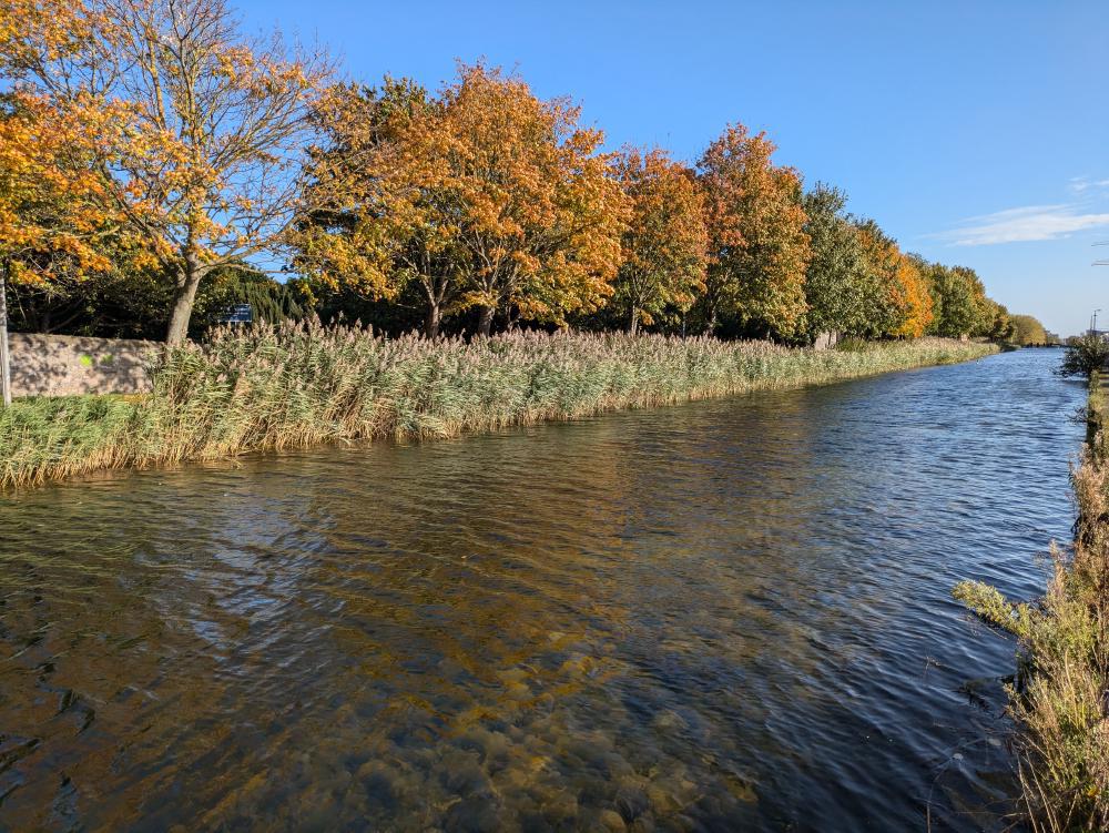 Spaziergang