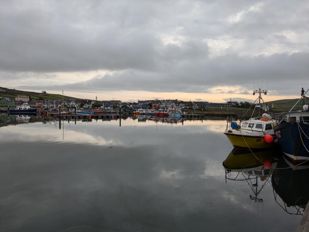 boats