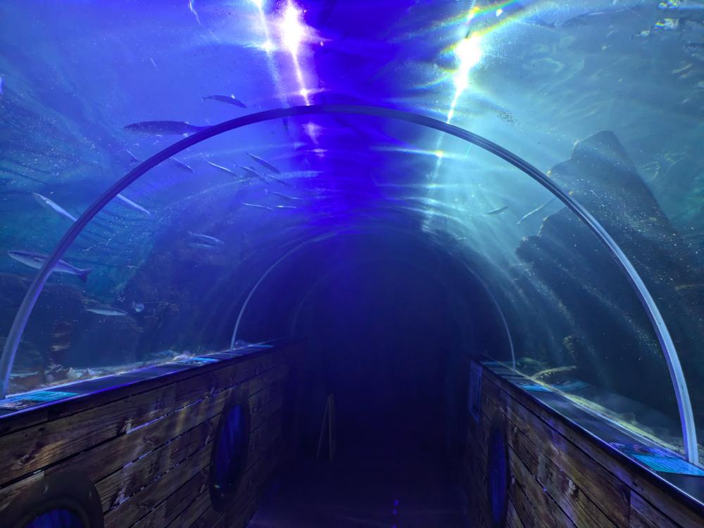 tunnel