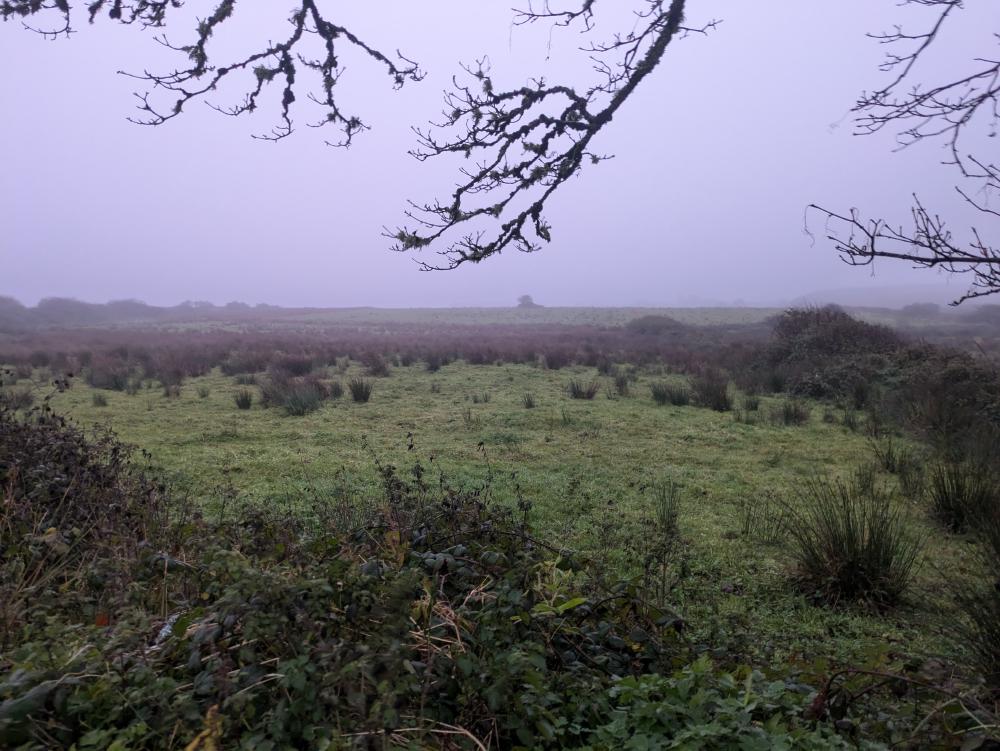 Doolin