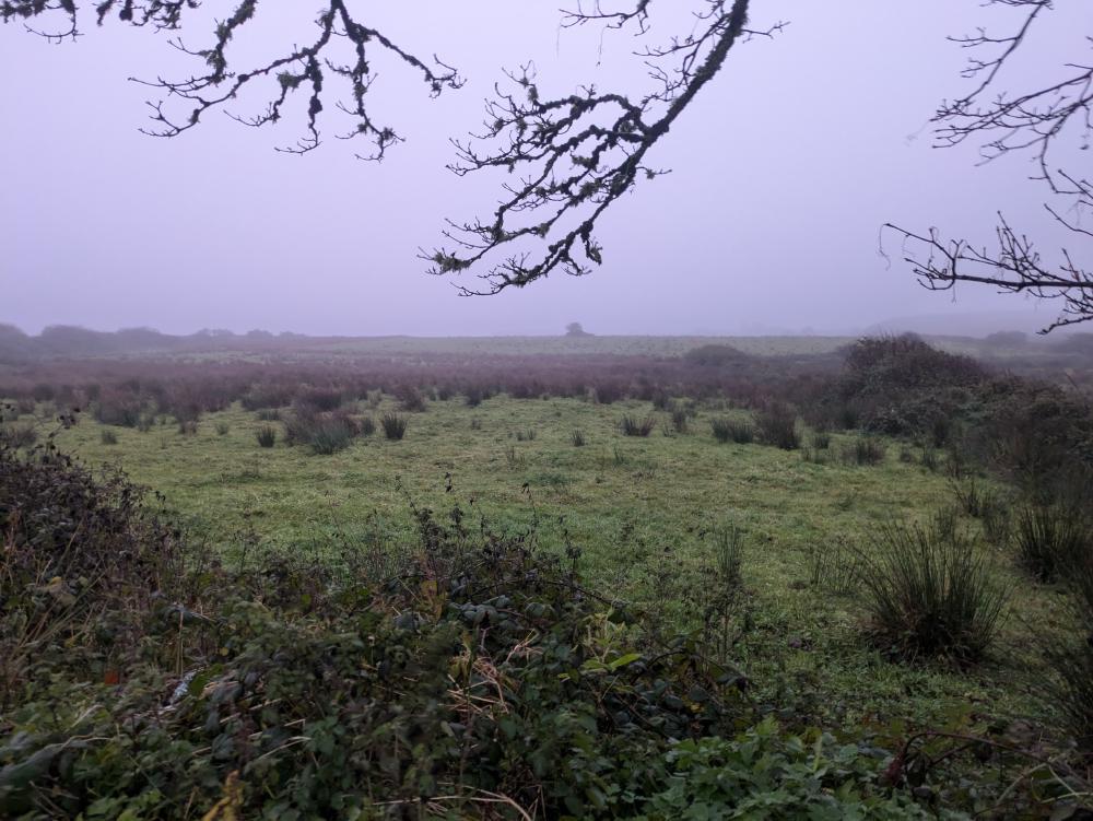 Doolin