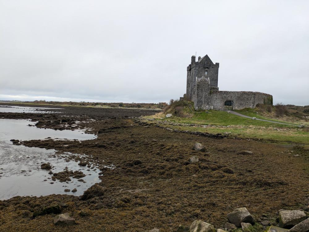 Dunguaire Castle