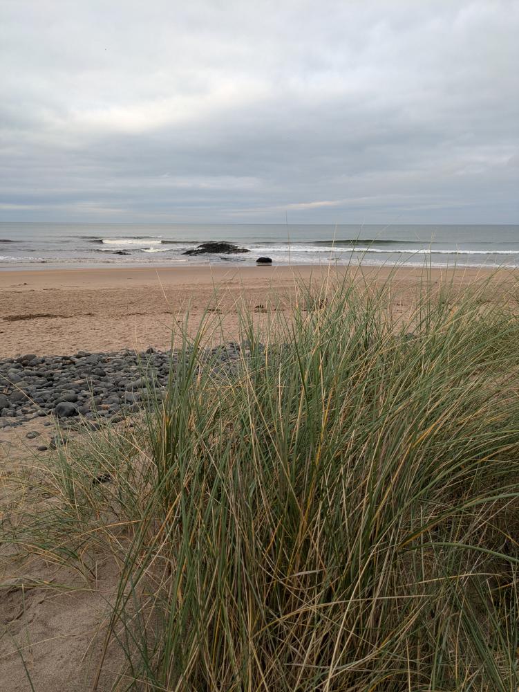 beach