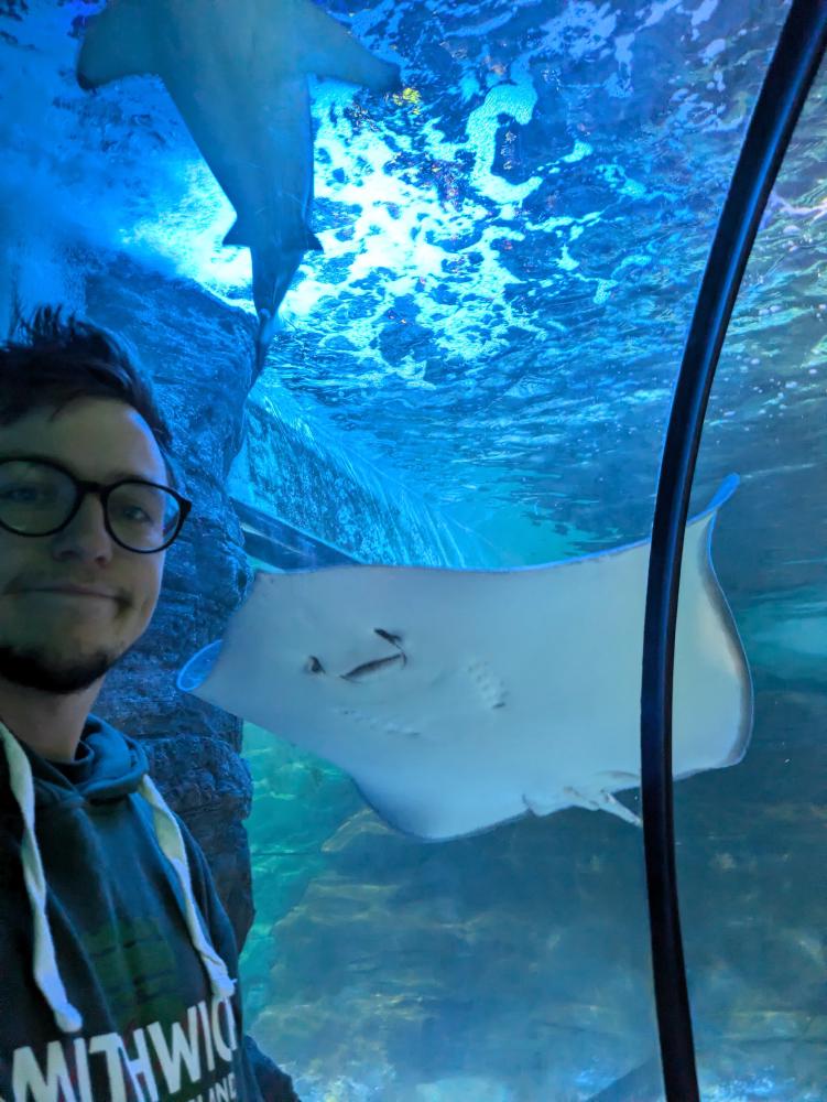 ray