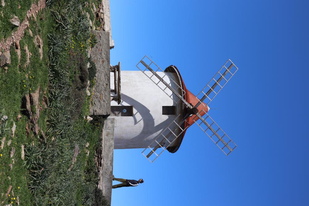 Mill