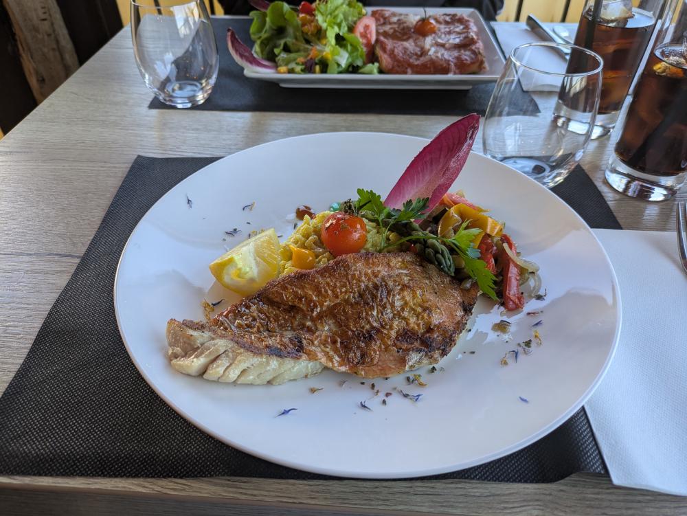 Food