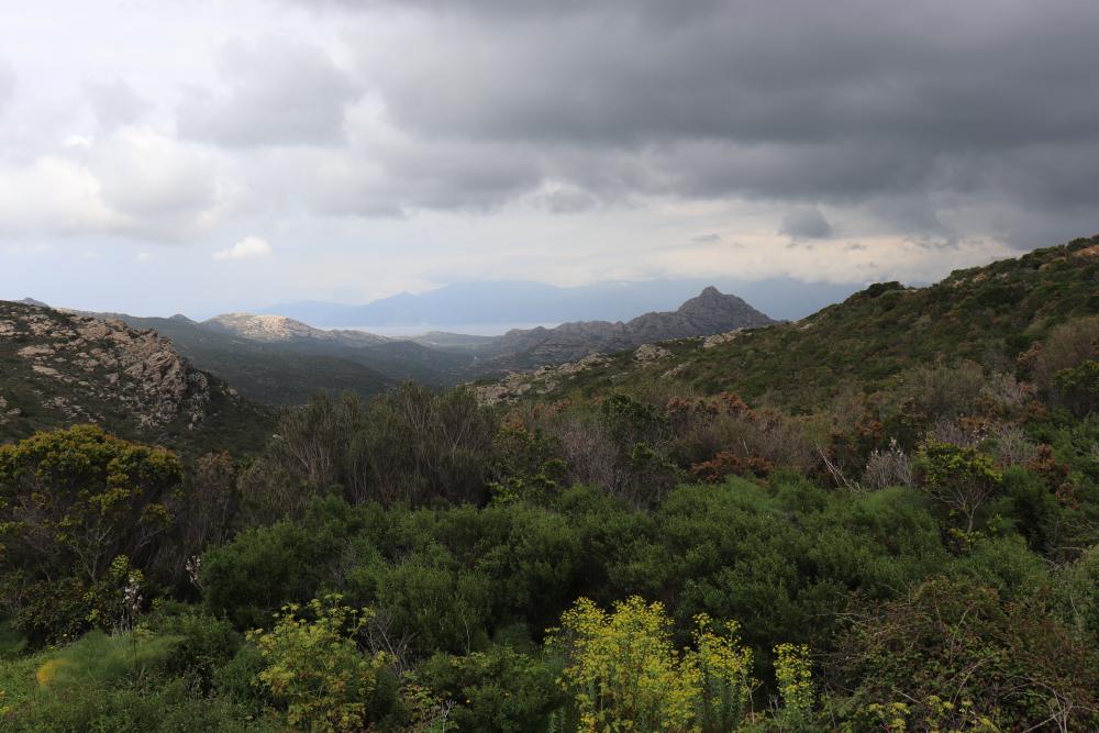 View