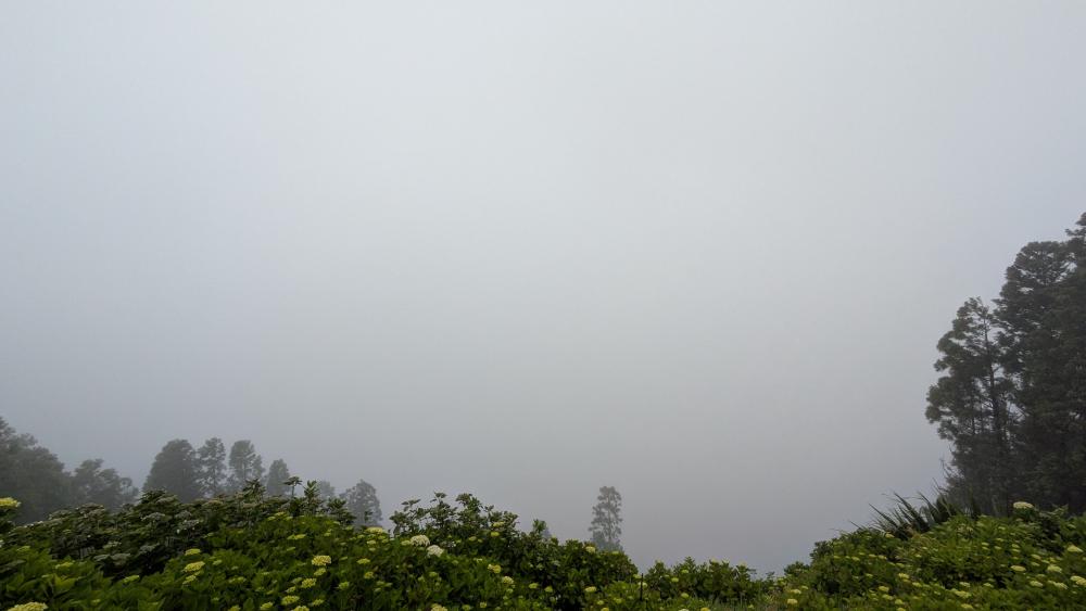 Fog over Sete Cidades