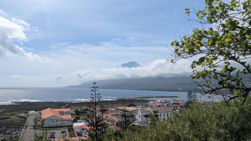 Pico