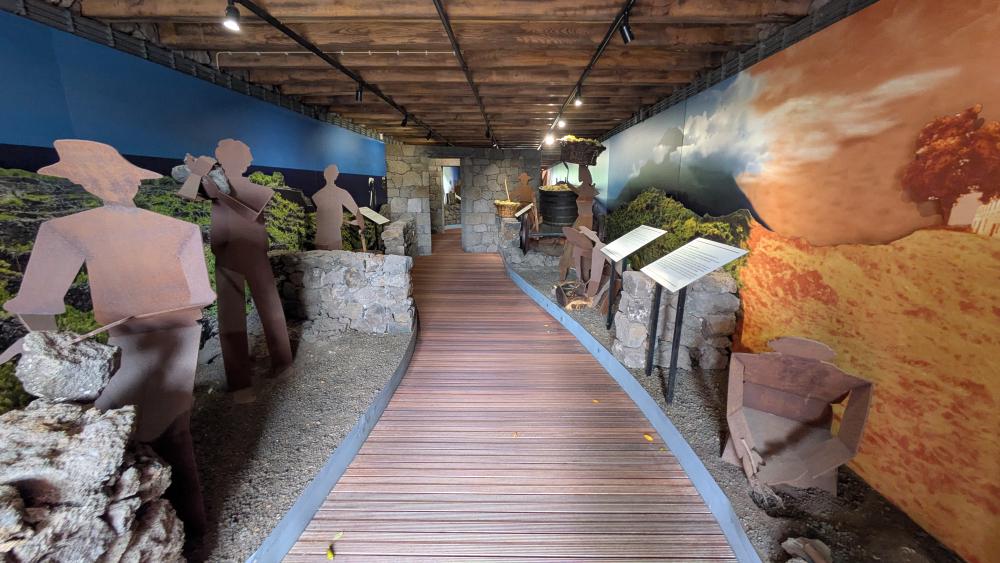 Inside the wine museum on Pico